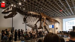 67-million-year-old T. rex fossil 'Gus' sold for record $50.1 million at Sotheby's auction, becomes world